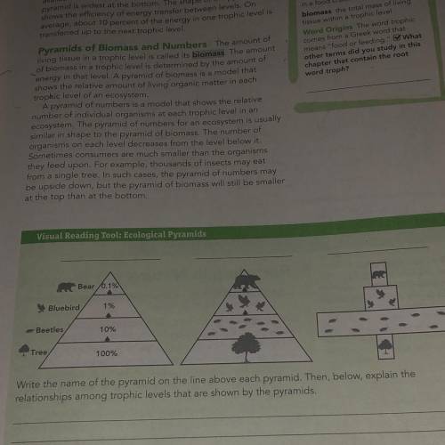Help with the pyramidspls!!!