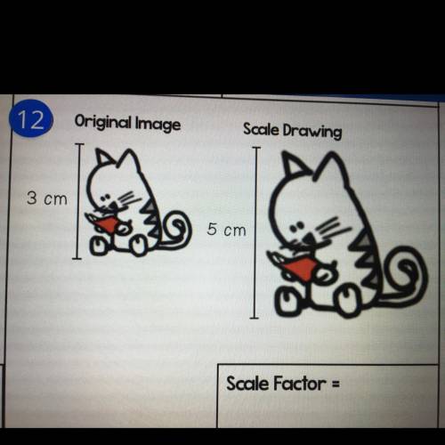 What’s the scale factor