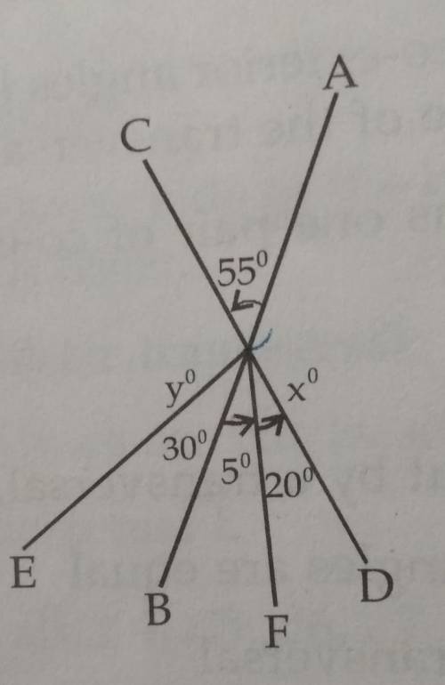 Find x and y with solutions