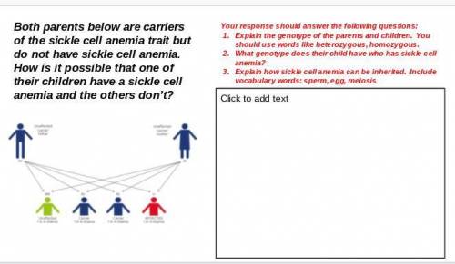 What genotype does their child have who has sickle cell anemia?