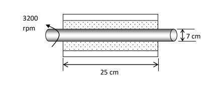 A 7 cm diameter bed on a 25 cm long bed, as shown in the figure below.

The shaft rotates at 3200