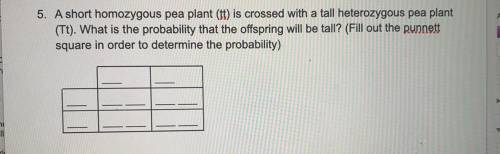 Can someone help me with this question real fast ?