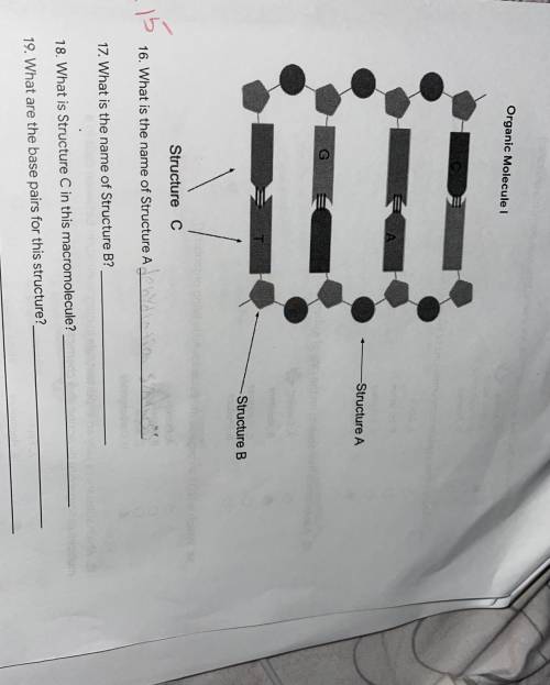 I don’t know the name of the structures can someone please help?