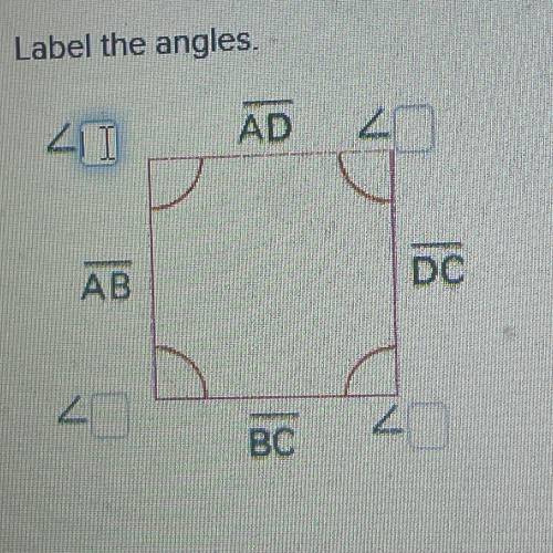 What are the angle labels?