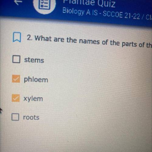 what are the names of the parts of the system of tubes found in the vascular system of plants (choo