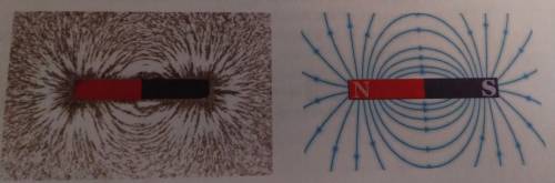How is the magnetic field of a magnet represented ?first to answer gets brainliest!