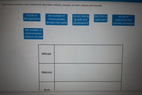 Determine whether each statement describes mitosis, meiosis, or both mitosis and meiosis.