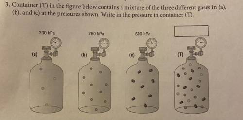 Container (T) in the figure below contains a mixture of the three different gases

in (a),
(b), an
