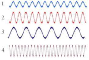 What is the amplitude of the above wave?

What is the frequency of the above wave?
What is the wav