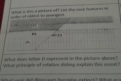 What does letter D represent in the picture above? What principle of relative dating explain this e