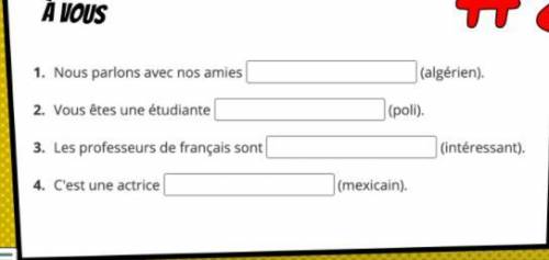 A Vous Write in the correct forms of the adjectives.