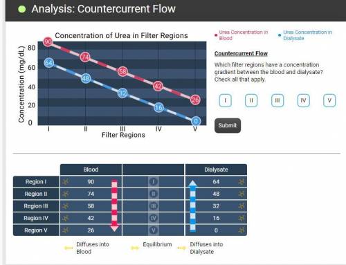 Countercurrent Flow

Which filter regions have a concentration gradient between the blood and dial
