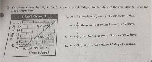 HELP what is the slope