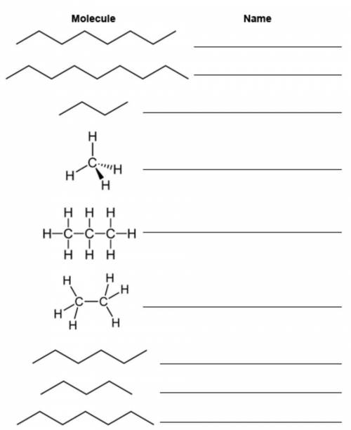 A. Write the name of the alkane next to the drawing of the molecule. (2 points)