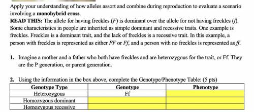 2. Using the information in the box above, complete the Genotype/Phenotype Table: (5 pts)

Genotyp