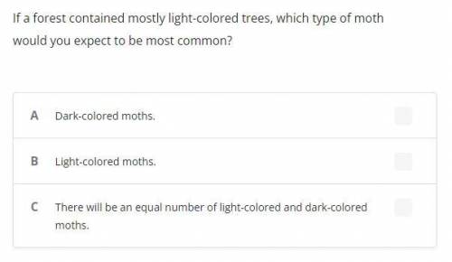 If a forest contained mostly light-colored trees, which type of moth would you expect to be most co