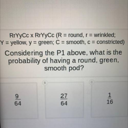 PLS HELP

NO BOTS PLS 
RrYyCc x RrYyCc (R=round, r=wrinkled; Y=yellow, y=green; C=smooth,