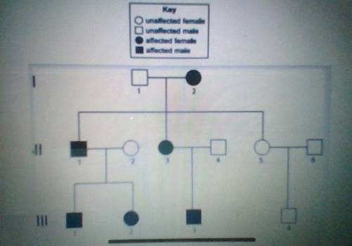 The following pedigree shows the inheritance of an autosomal dominant trait. Affected individuals h