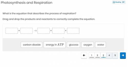 What is the equation that describes the process of respiration?

Drag and drop the products and re