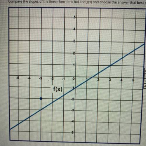 Compare the slips of the linear functions f(x) and g(x) and choose the answer that best describes t