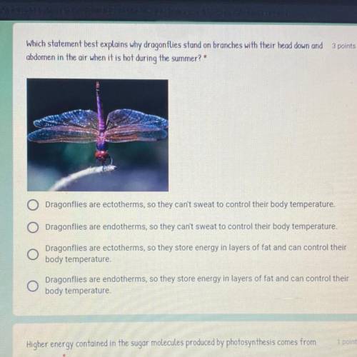 Please help me asap

Which statement best explains why dragonflies stand on branches with their he