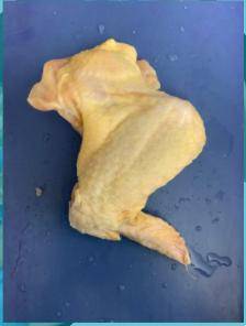 Do you think this wing is from the left side or the right side of the chicken’s body? Explain your
