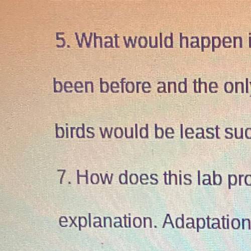 5. What would happen if all of the bird types in this activity flew to an island where no birds had