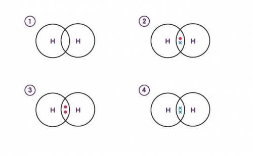 Look at the diagram. Which shows the correct arrangement of electrons in a hydrogen molecule?
