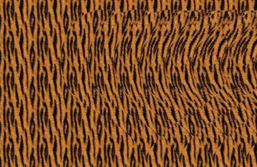 Look carefully, what do you see? (This is a riddle, the answer is not tiger/tiger print/etc) Please
