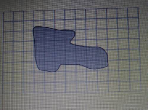 Estimate the area of the following irregular shapes.