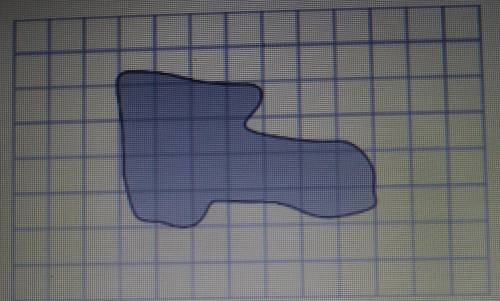 Estimate the area (its an irregular shape)