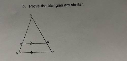 Prove the triangles are similar.