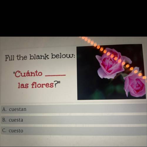 Fill the blank below:
Cuánto
las flores?
A. cuestan
B. cuesta
C. cuesto