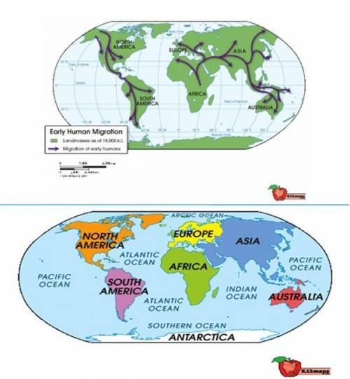 What conclusion can you draw from this map about the migration of humans?

A. They migrated first
