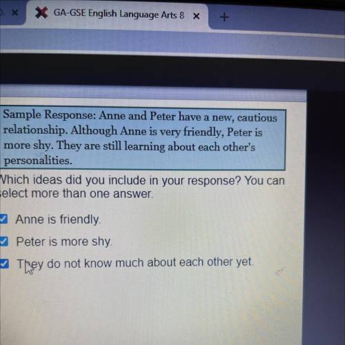 Describe the relationship between Anne and Peter. think about the way the characters interact throu