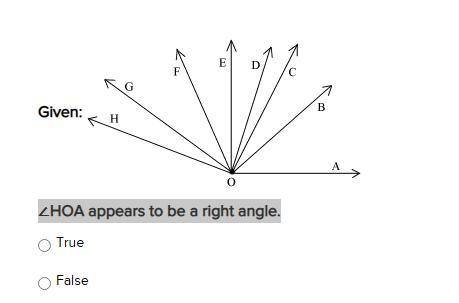 ∠HOA appears to be a right angle.
true or false