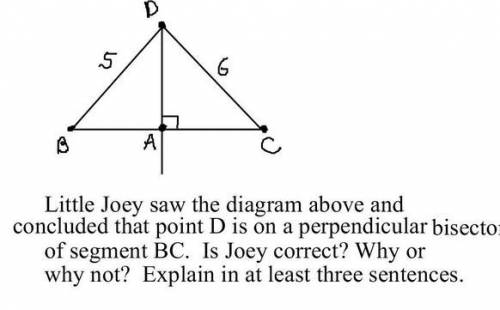 Little Joey saw the diagram above and concluded that Point D is on a perpendicular bisector of segm