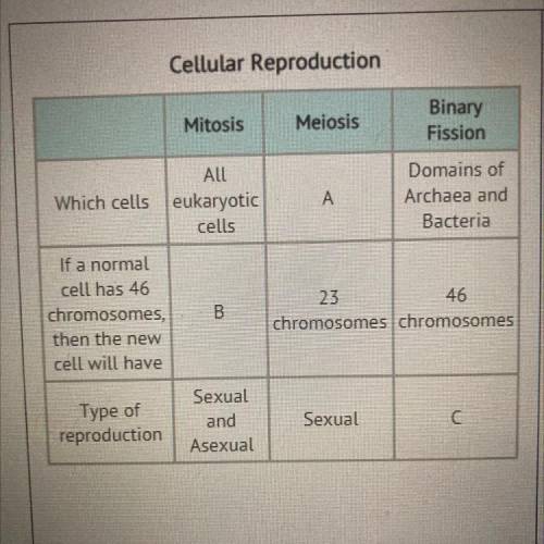Which of these would best fill in the chart for “B”?

A) 0 chromosomes
B) 23 chromosomes
C) 46 chr