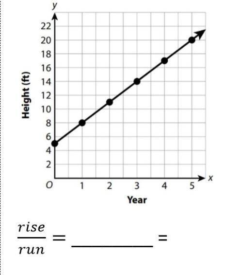 Lila planted a tree in her backyard. She made this graph to show the tree growth over 5 years.
