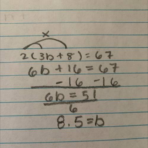 2 (3b + 8) = 67
Solve !