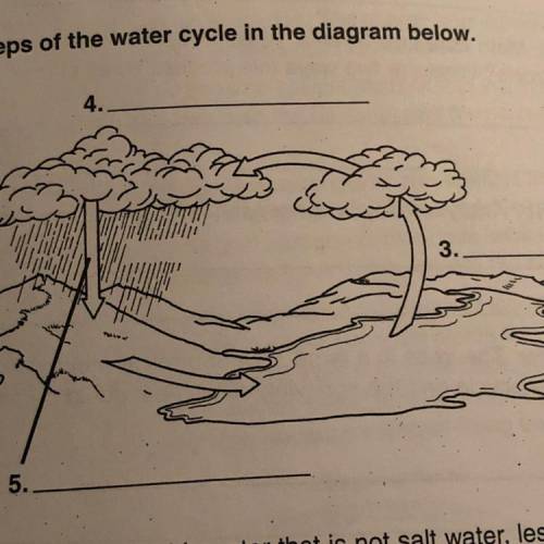 Label the steps of the water cycle in the diagram below