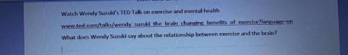 What does Wendy Suzuki say about the relationship between exercise and brain?