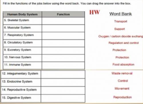 Fill in the functions of the jobs below using the word bank you can drag the answer into the box