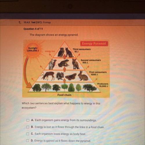 The diagram shows an energy pyramid.

Energy Pyramid
Sunlight
1,000,000
Third consumers
10 J
energ