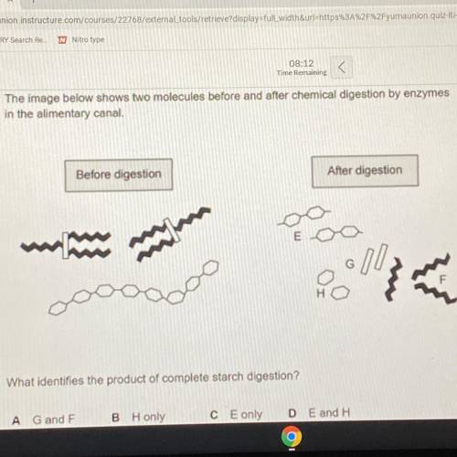 The image below shows two molecules before and after chemical digestion by enzymes

in the aliment