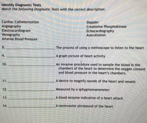 Cardiac Catheterization

Angiography
Electrocardiogram
Venography
Arterial Blood Pressure
Doppler