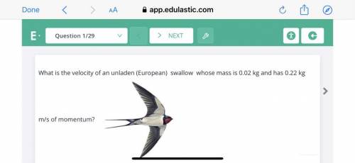 What is the velocity of an unladen (European) swallow whose mass is 0.02 kg and has 0.22 kg