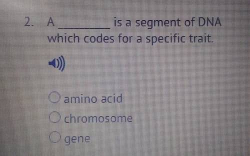 A ____ is a segment of DNA wich codes for a specific trait.