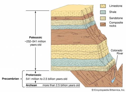 What are strata (give geologic time scale webquest answer)