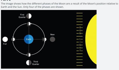 Locate the two Moon phases from parts C and D that align with the spring tides. Is the orientation